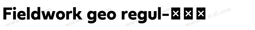 Fieldwork geo regul字体转换